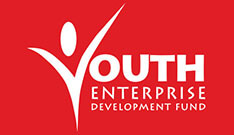 NYEDF-logo2